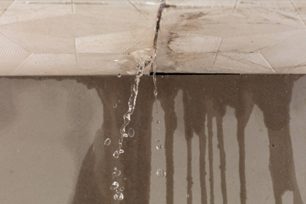 Professional Structural Drying technician working in Cleveland, ND